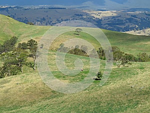 Landscape rolling hills in Australia