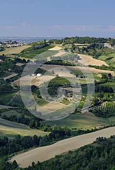 Landscape in Romagna at summer from Sogliano al Rubicone