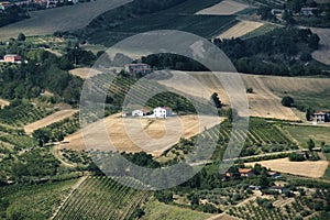 Landscape in Romagna at summer from Sogliano al Rubicone