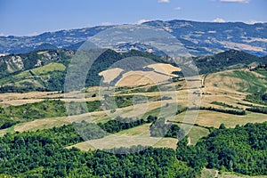 Landscape in Romagna at summer from Sogliano al Rubicone