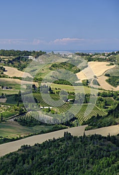 Landscape in Romagna at summer from Sogliano al Rubicone