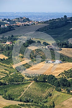 Landscape in Romagna at summer from Sogliano al Rubicone