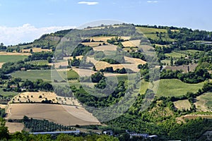 Landscape in Romagna at summer from Sogliano al Rubicone