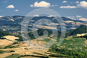 Landscape in Romagna at summer from Sogliano al Rubicone