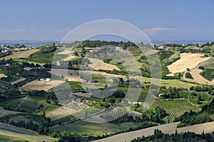 Landscape in Romagna at summer from Sogliano al Rubicone