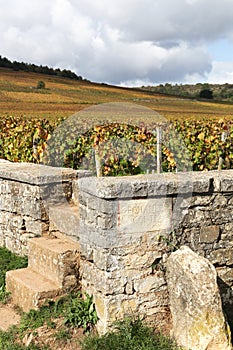 Landscape with Romanee Conti vineyards in Burgundy photo