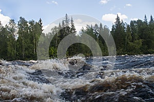 the landscape is rough water on the big river forest nature wild alloy trekking