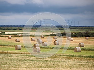 Landscape with Round Straw Bales and Clouds