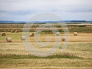 Landscape with Round Straw Bales and Clouds