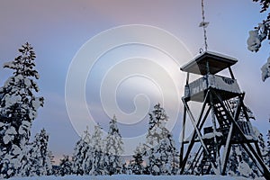 Landscape in rovaniemi during sunset -lapland