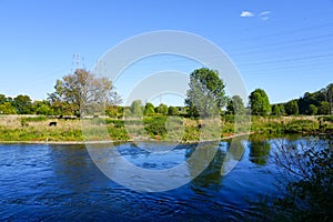 Landscape at the Ruhraue Hattingen-Winz nature reserve. Nature and the Ruhr