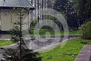 Landscape on a running rain next to a Christmas tree on a cottage background