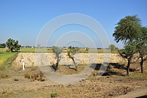 Landscape of rural india in Hariyana.