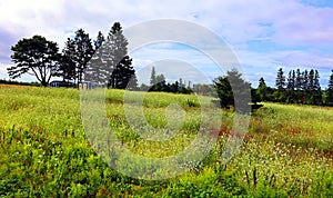 Landscape in rural Prince Edwards Island