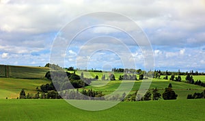 Landscape in rural Prince Edwards Island