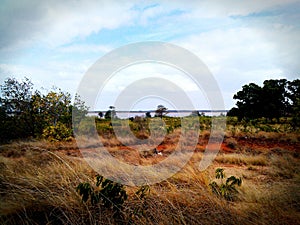 landscape rural river orinoco