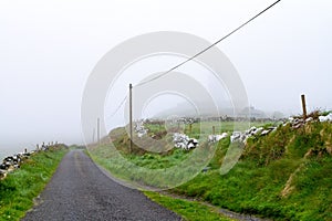 Landscape with a rural road in Doolin on a foggy day, Ireland