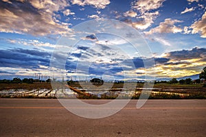 Landscape of rural road at dusk