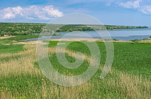 Landscape with rush fields in place where small river Karachokrak flows into Dnepr, Ukraine