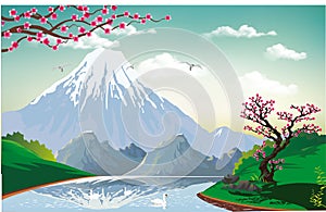 Landscape - Sakura on the river Bank.