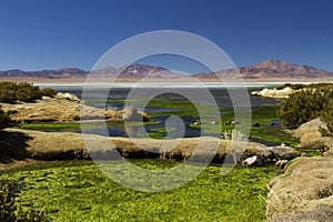 Landscape at the Salar de Taras