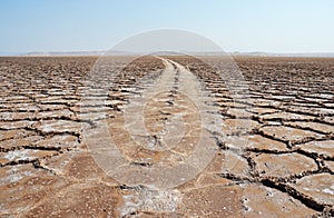 Wheel tracks on salt flat polygons of desert photo