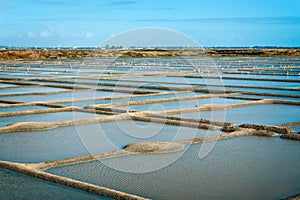 Landscape of salt marshes in Guerande peninsula France photo