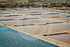 Landscape of salt marshes in Guerande peninsula France photo