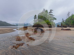 Landscape of San Josef Bay, Cape Scott Provincial Park, British Columbia, Canada photo