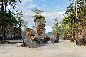 Landscape of San Josef Bay, Cape Scott Provincial Park, British Columbia, Canada photo