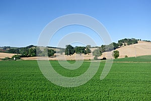 Landscape San Quirico Val d`Orcia, Tuscany, Toscana, Italy, Italia