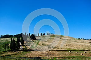 Landscape San Quirico Val d`Orcia, Tuscany, Toscana, Italy, Italia