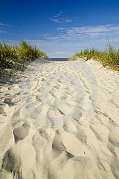 Sabbia Spiaggia 