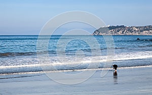 Landscape with sandy beach of Tangier, Morocco, Africa