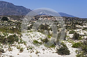 Landscape of a sandy plain