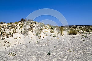 Landscape of a sandy plain