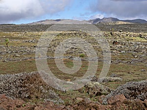 Landscape in Sanetti Plateau, Bale National Park, Ethiopia