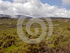 Landscape in Sanetti Plateau, Bale National Park, Ethiopia photo