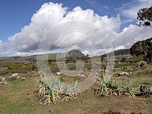 Landscape in Sanetti Plateau, Bale National Park, Ethiopia photo