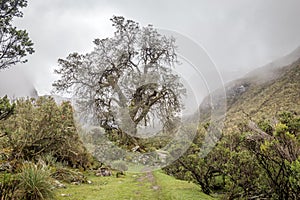 Landscape of Santa Cruz Trek, Cordillera Blanca, Peru South America