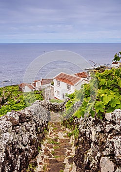 Landscape of Santa Maria Island, Azores