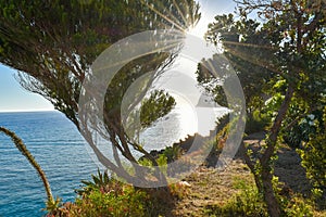 Landscape in Sao Martinho - Madeira Island, Portugal