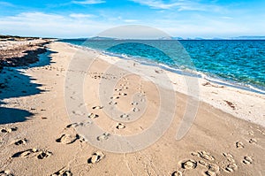 Landscape of sardinian beach in summer