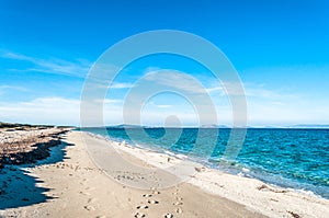 Landscape of sardinian beach in summer