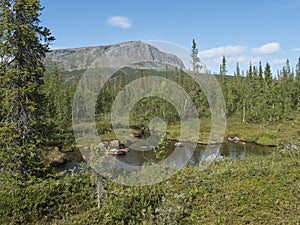 Landscape of Sarek national park in Sweden Lapland with water stream, mountain peaks, birch and spruce tree forest. At