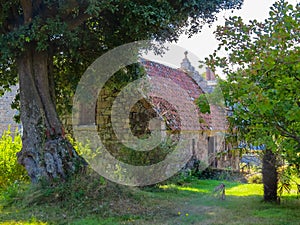 Landscape of the Sark Island