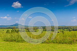 Landscape of Savanna Forest and mountain with a blue sky and white clouds in the spring afternoon