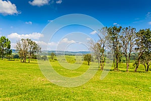 Landscape of Savanna Forest and mountain with a blue sky and white clouds in the spring afternoon
