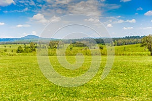 Landscape of Savanna Forest and mountain with a blue sky and white clouds in the spring afternoon