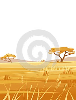Landscape savanna on white background with yellow grass and tree flat vector illustration cartoon style vertical design